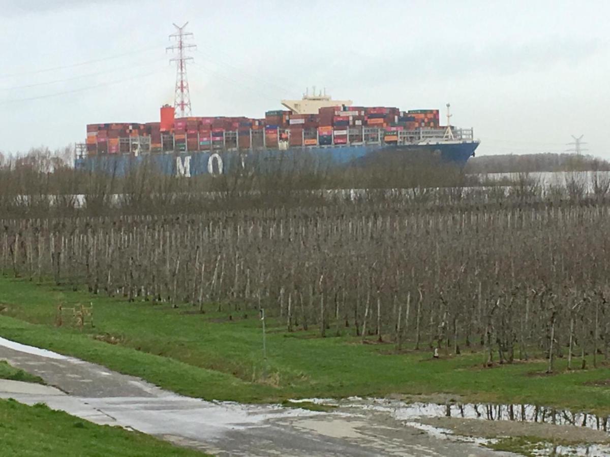 Wohnen Im Alten Land Grünendeich Extérieur photo