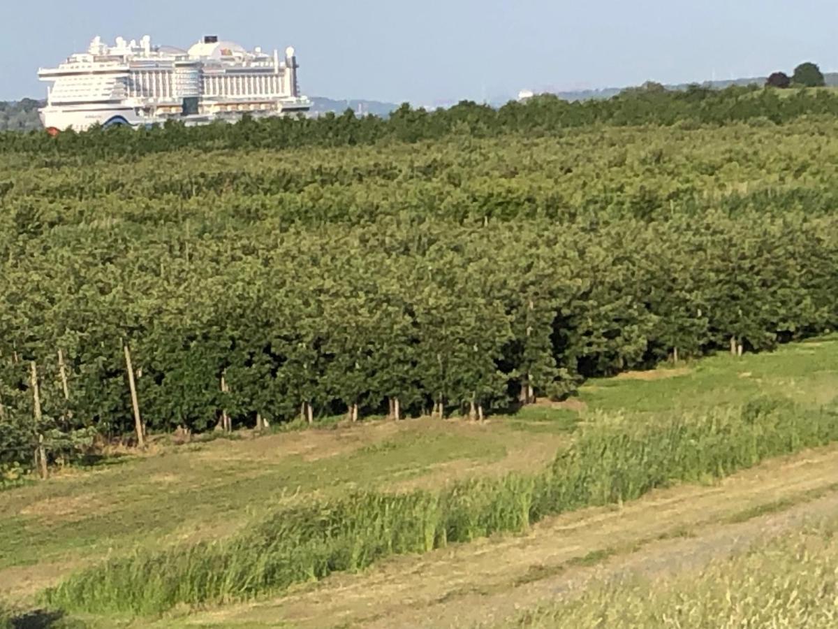 Wohnen Im Alten Land Grünendeich Extérieur photo